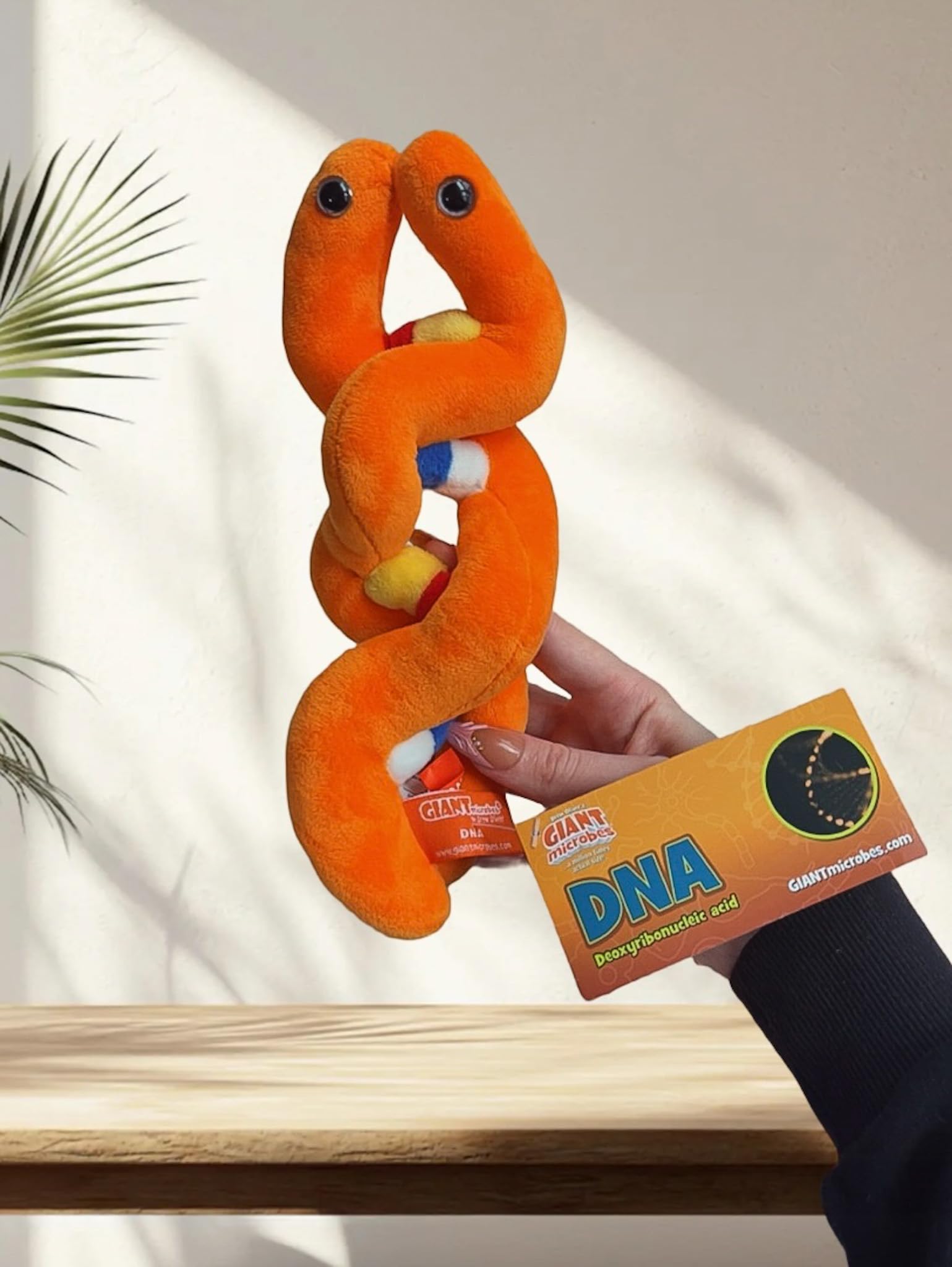 Amazon.com: GIANTmicrobes DNA Plush, Genetics Gifts, DNA Gifts